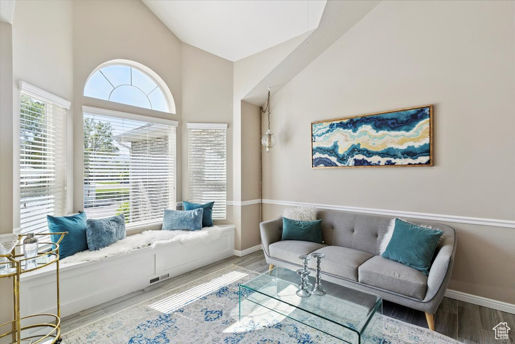 Living room featuring wood finished floors and a high ceiling
