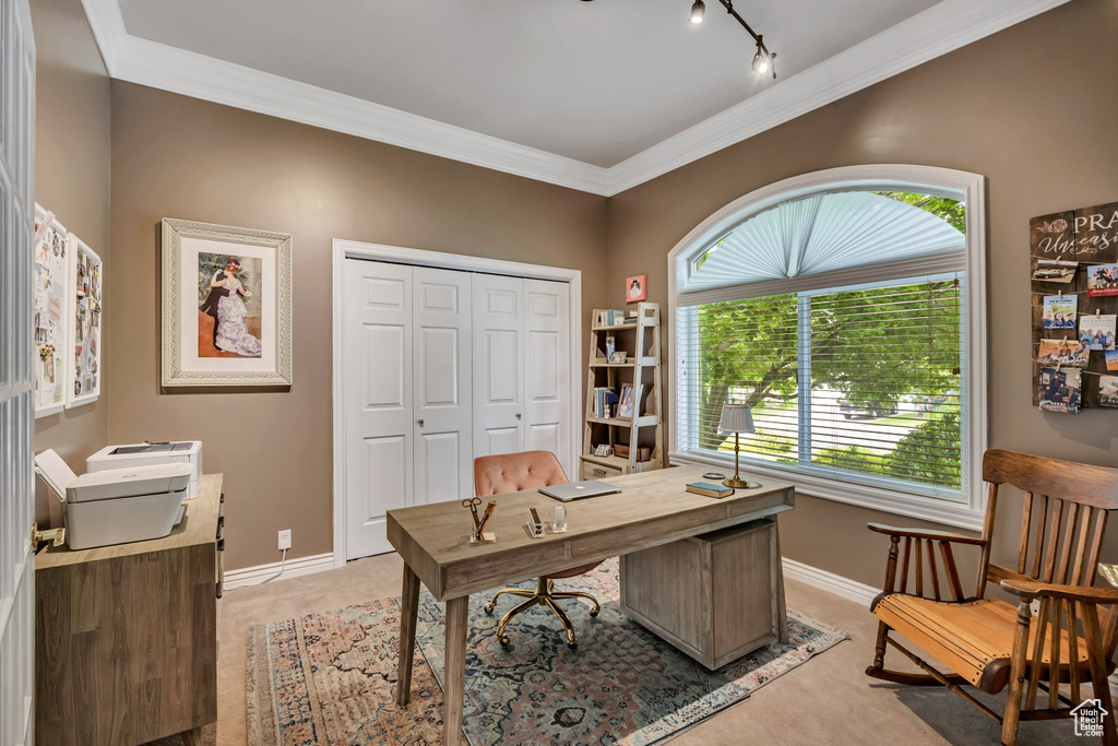 Office space featuring ornamental molding, light carpet, and track lighting