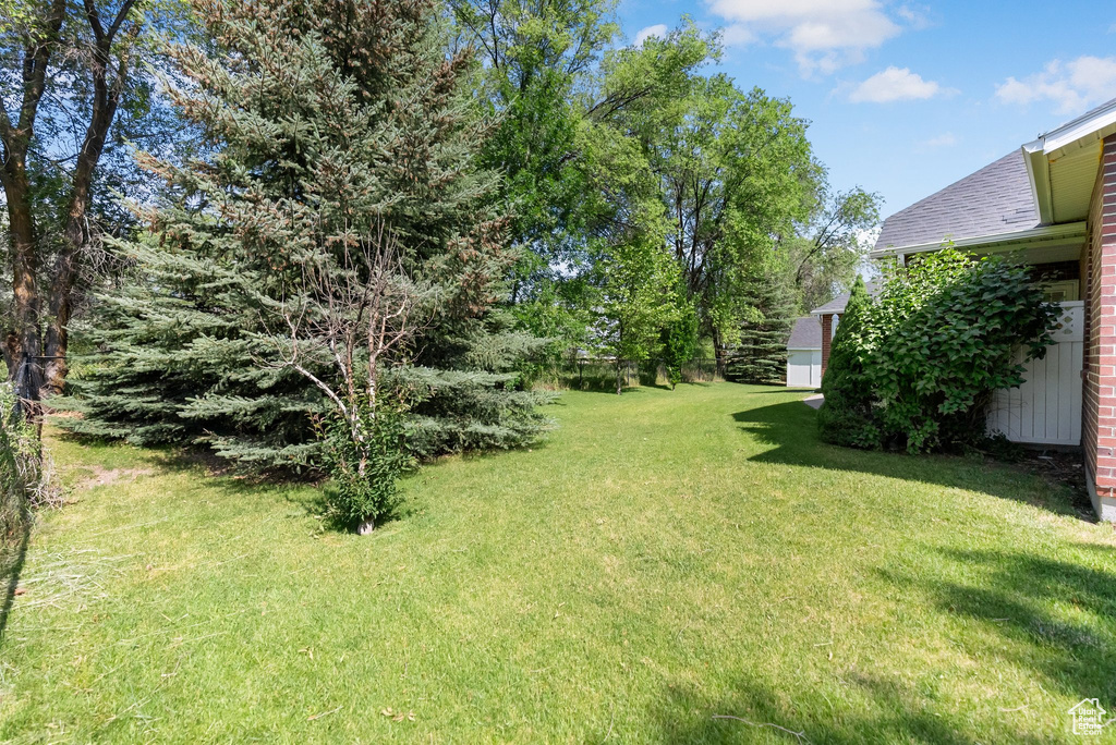 View of grassy yard