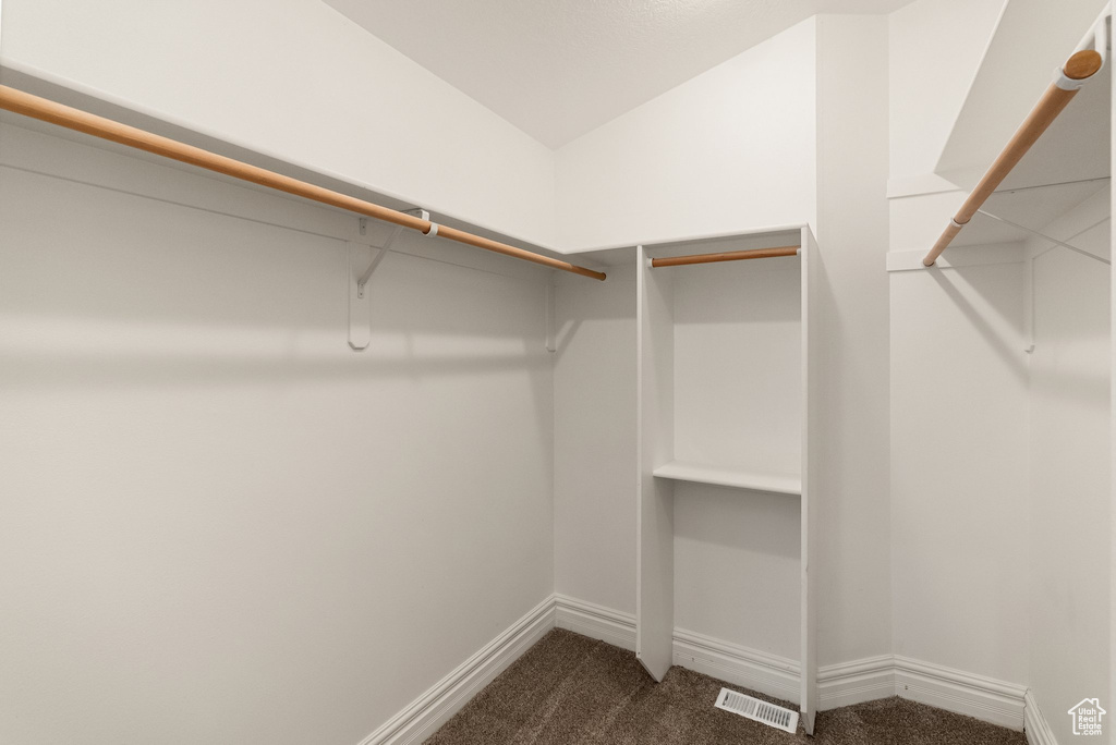 Spacious closet with dark colored carpet