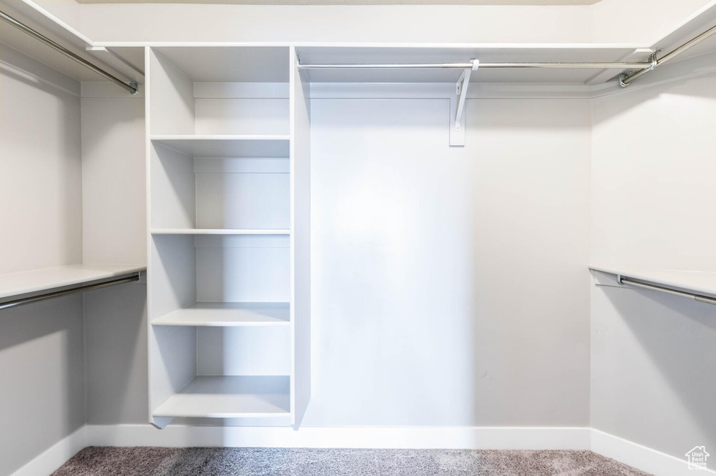 Spacious closet featuring carpet flooring
