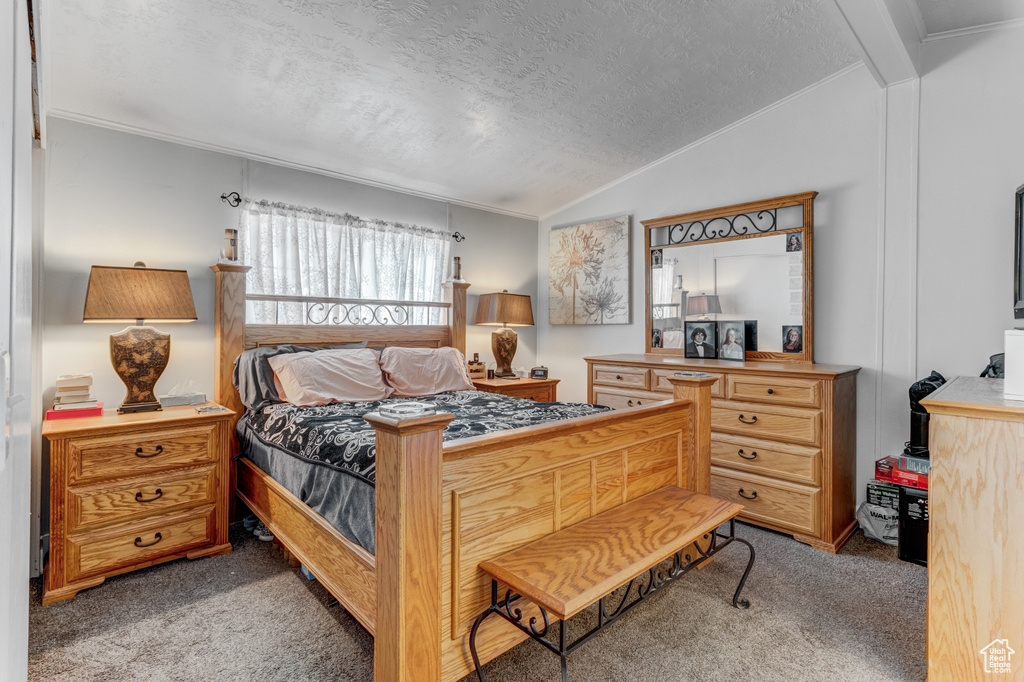 Carpeted bedroom with vaulted ceiling and a textured ceiling