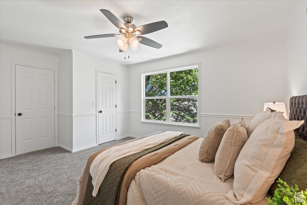 Bedroom featuring carpet floors, a ceiling fan, and crown molding