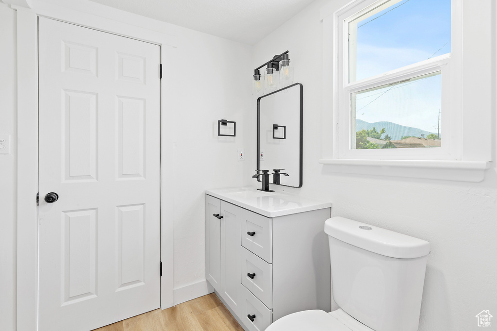 Half bathroom featuring vanity and wood finished floors