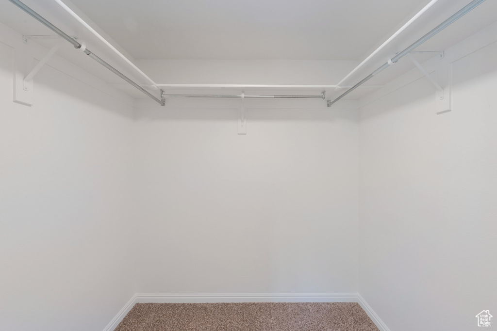 Walk in closet featuring carpet