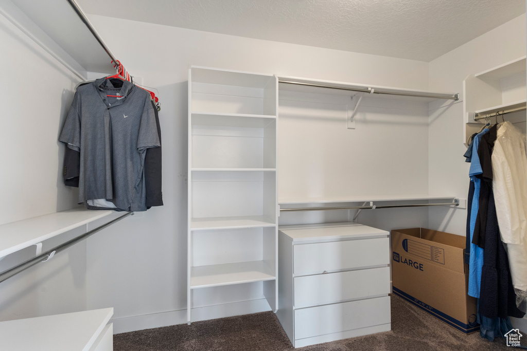 Spacious closet with dark carpet