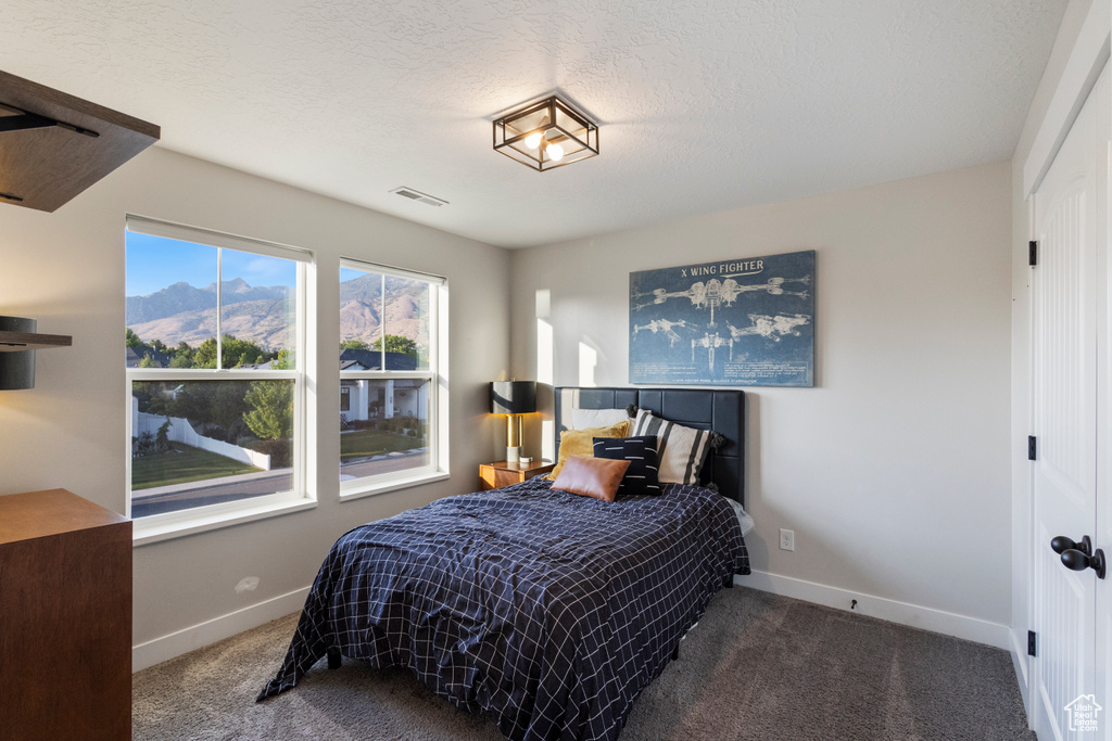 Carpeted bedroom featuring a mountain view and a textured ceiling