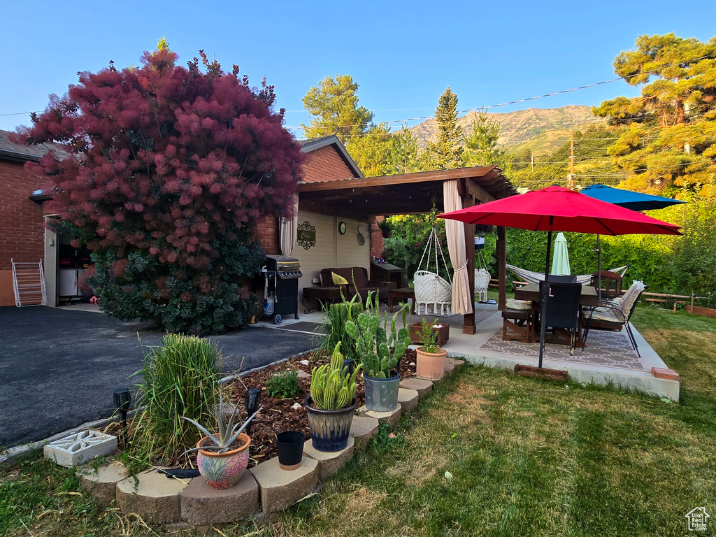 View of green lawn featuring a patio