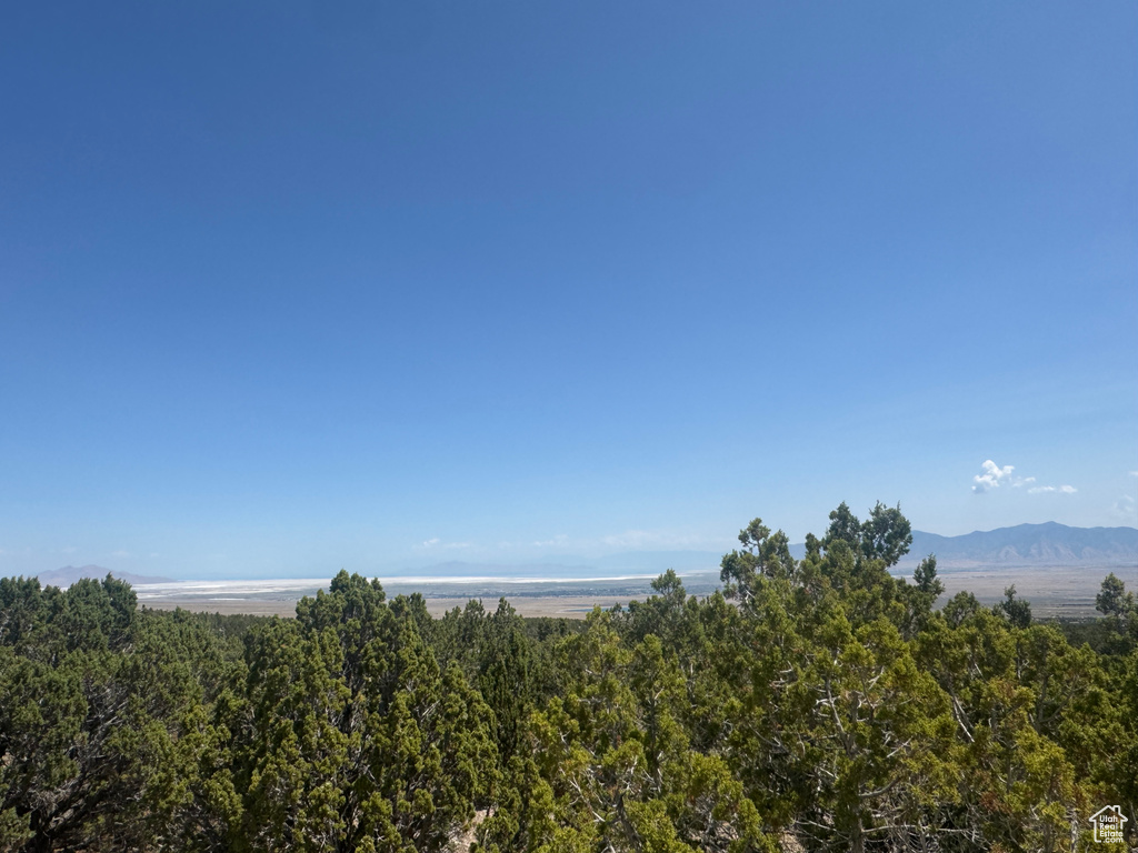 Mountain view with a heavily wooded area