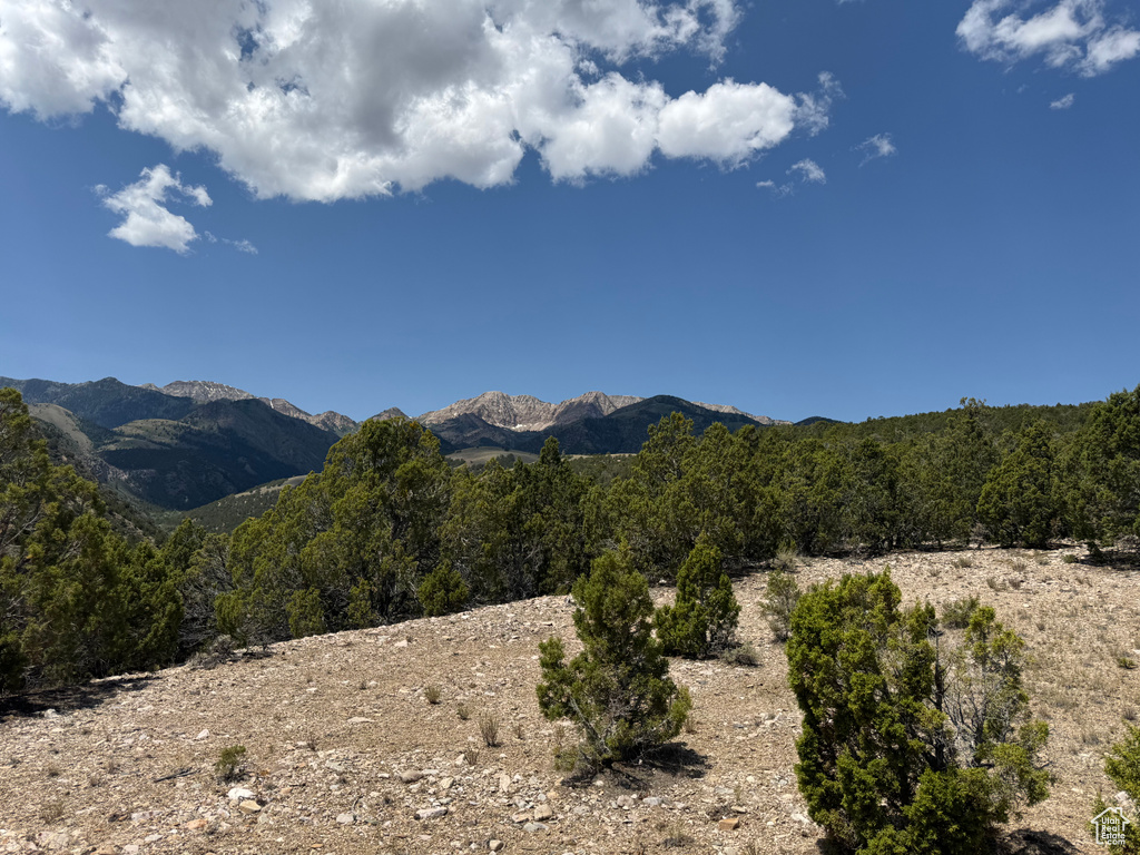 View of mountain background