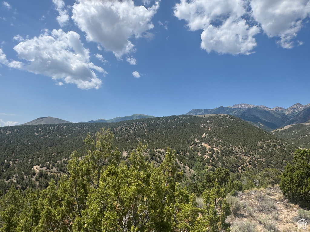 View of mountain background with a forest