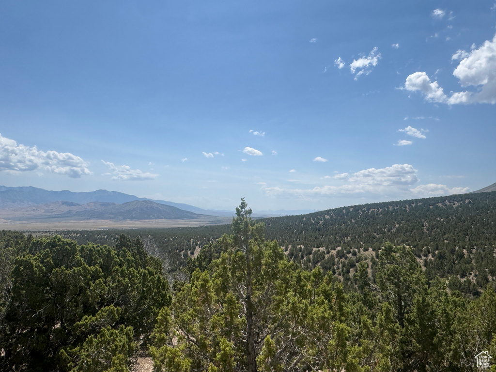 View of mountain background featuring a heavily wooded area