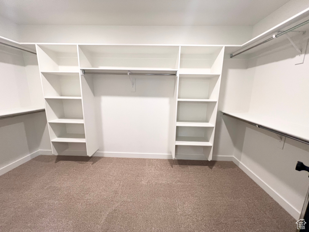Walk in closet featuring carpet floors