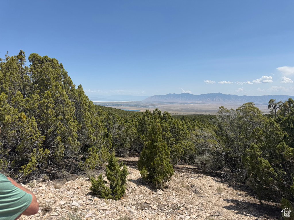 View of mountain background featuring a heavily wooded area