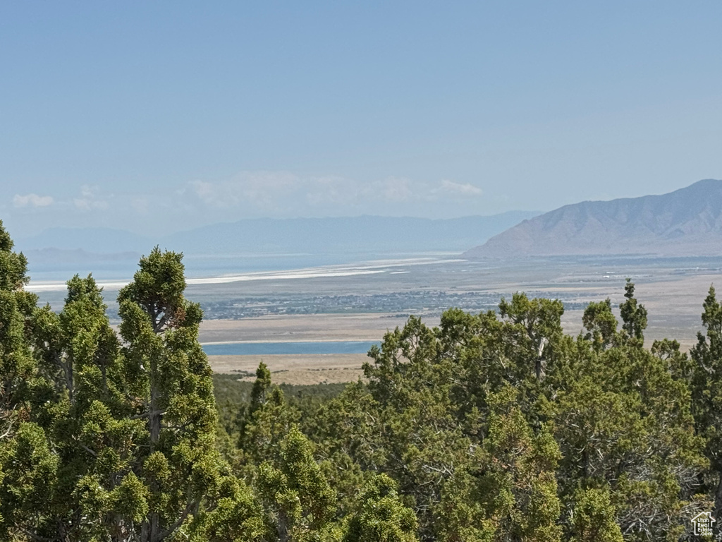 Water view featuring a mountainous background