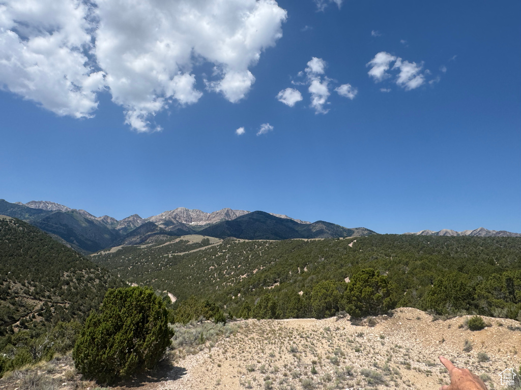 View of mountain background