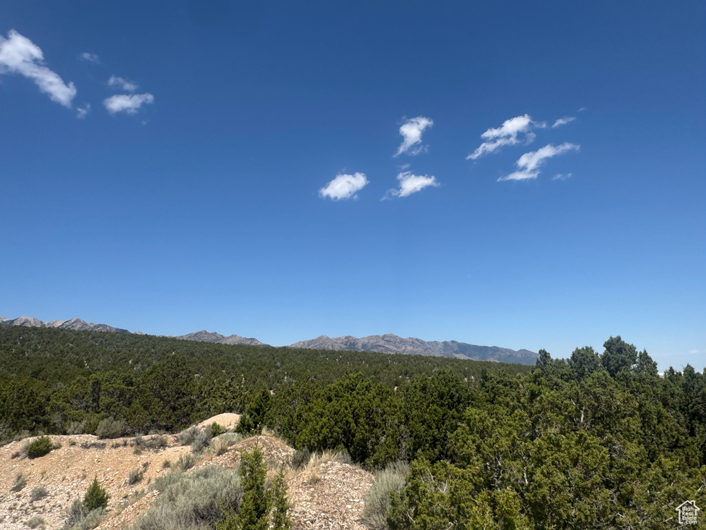 Mountain view with a heavily wooded area