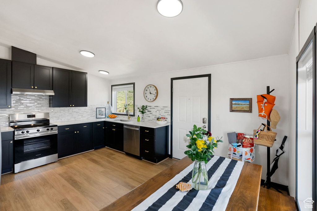 Kitchen featuring appliances with stainless steel finishes, dark cabinets, under cabinet range hood, and light countertops