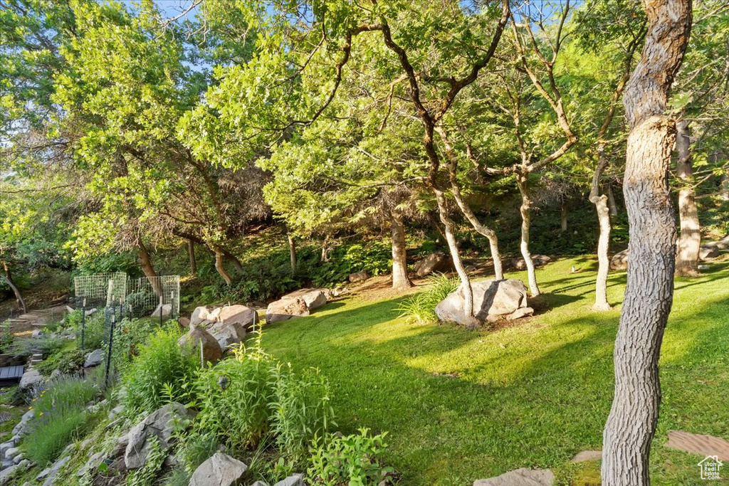 View of green lawn