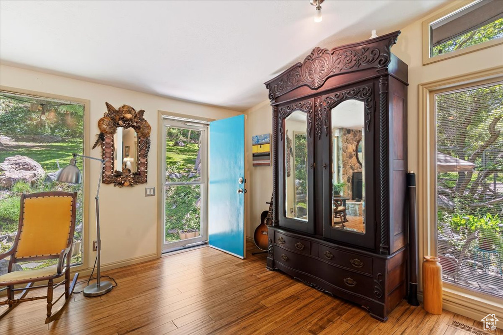 Foyer entrance with wood-type flooring