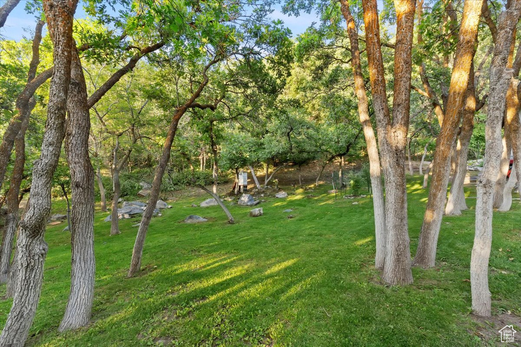 View of green lawn