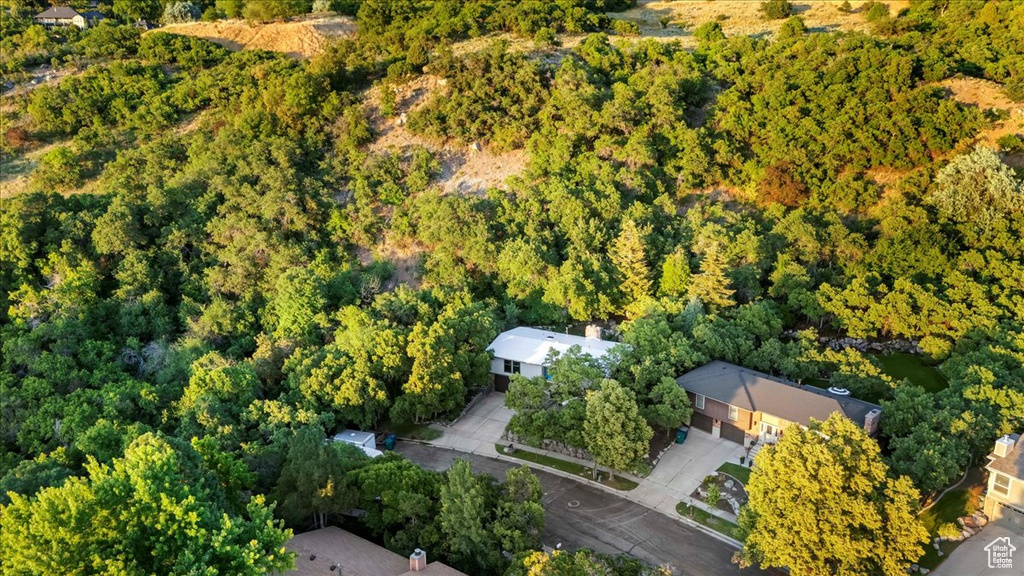 Bird\\\'s eye view of a heavily wooded area