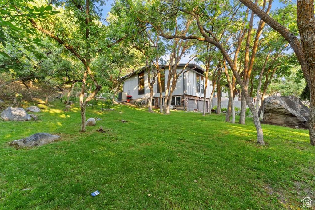 View of grassy yard