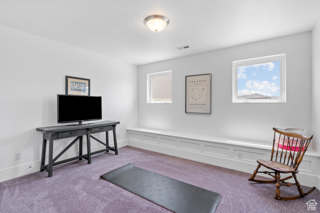 Workout room featuring carpet