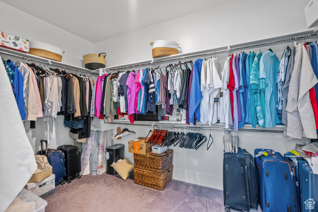 Walk in closet with carpet floors