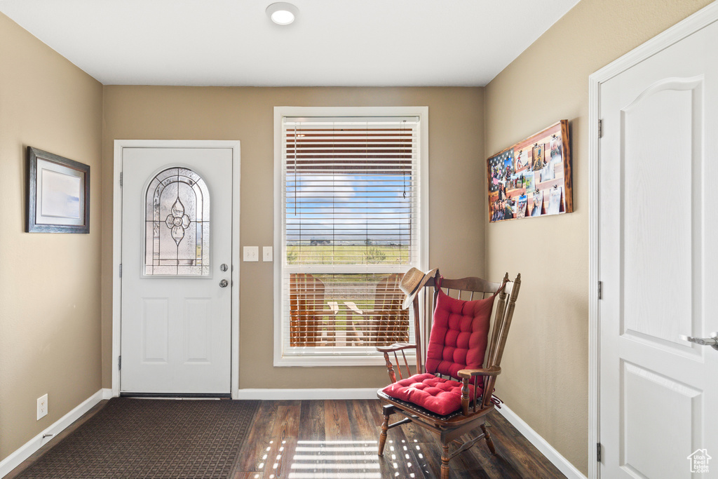 Foyer entrance featuring baseboards and dark wood-style flooring