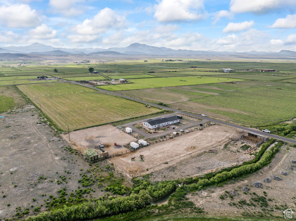 View of rural area with a mountain backdrop and rows of crops