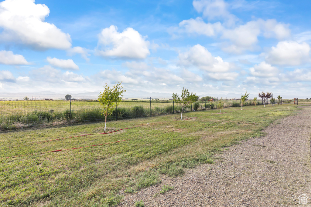 View of yard with a view of rural / pastoral area