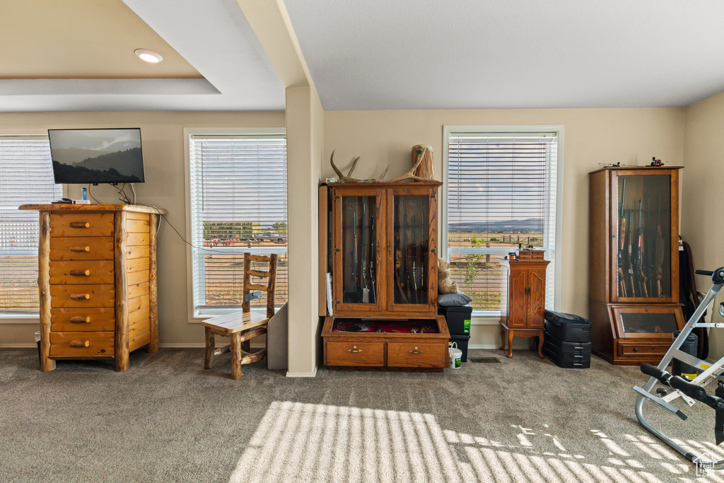 Carpeted living area with healthy amount of natural light
