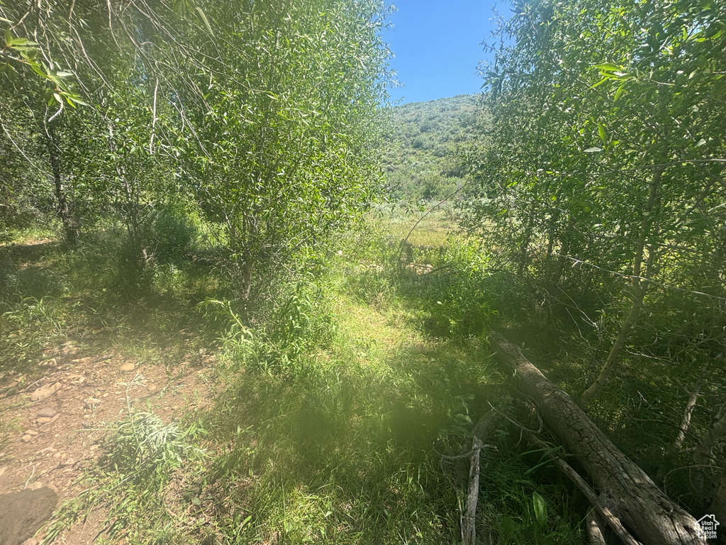 10  STAUFFER CANYON RD Montpelier, ID 83254