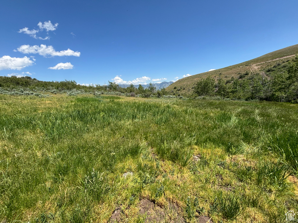 10  STAUFFER CANYON RD Montpelier, ID 83254