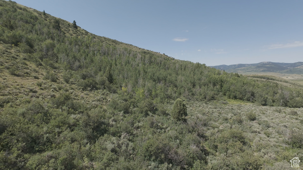 10  STAUFFER CANYON RD Montpelier, ID 83254
