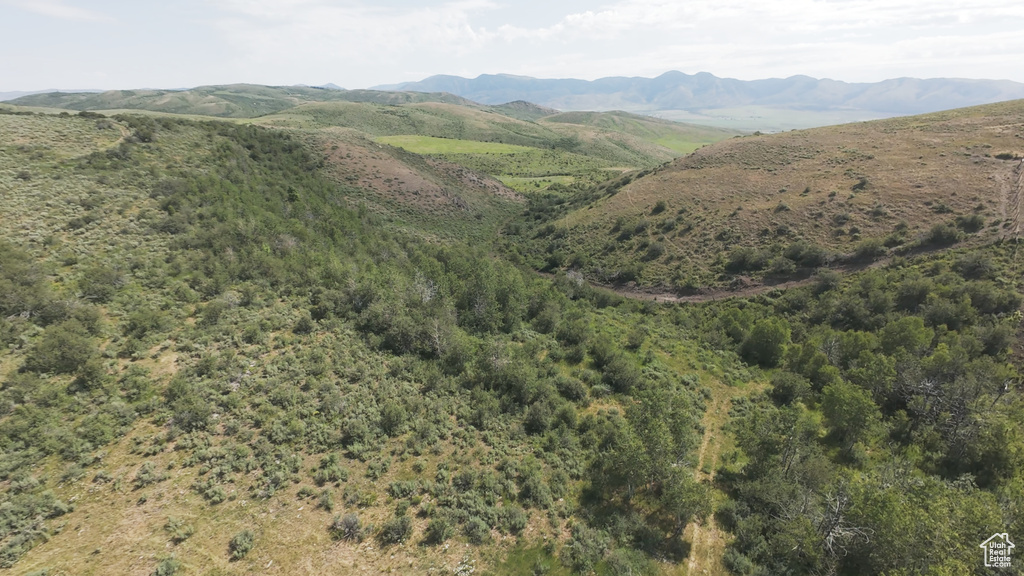 10  STAUFFER CANYON RD Montpelier, ID 83254