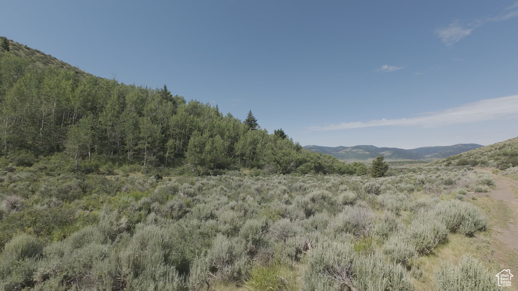 10  STAUFFER CANYON RD Montpelier, ID 83254