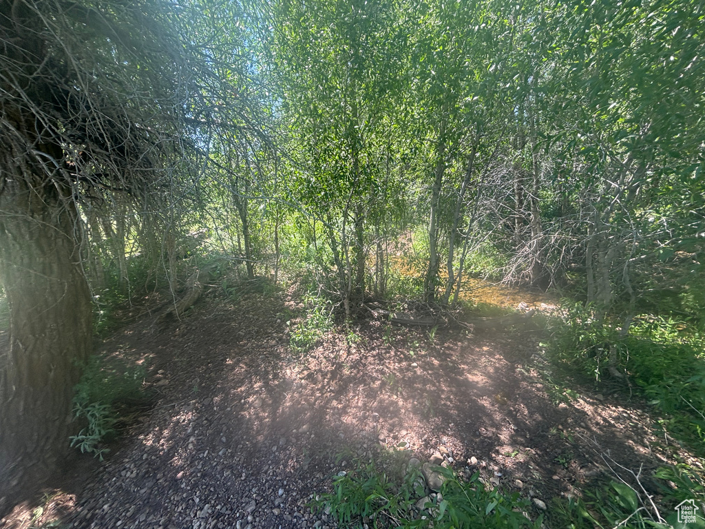 10  STAUFFER CANYON RD Montpelier, ID 83254