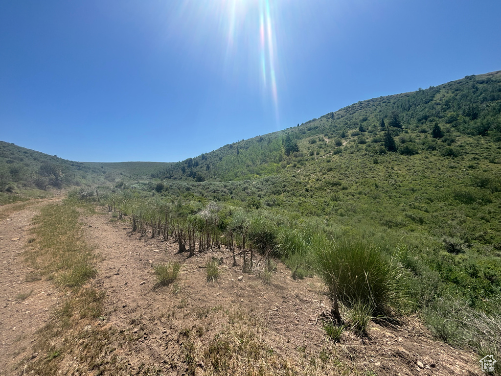 10  STAUFFER CANYON RD Montpelier, ID 83254