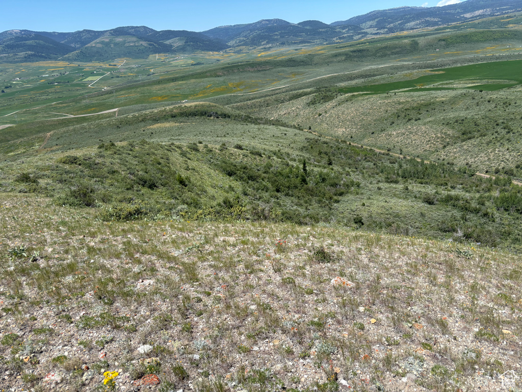 10  STAUFFER CANYON RD Montpelier, ID 83254