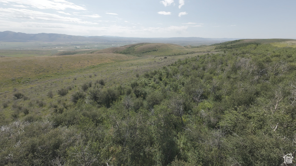 10  STAUFFER CANYON RD Montpelier, ID 83254