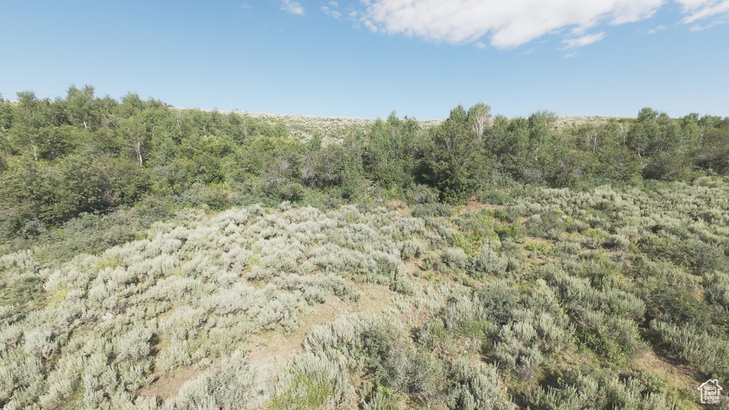 10  STAUFFER CANYON RD Montpelier, ID 83254