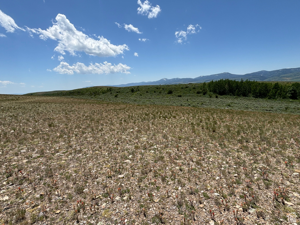 10  STAUFFER CANYON RD Montpelier, ID 83254
