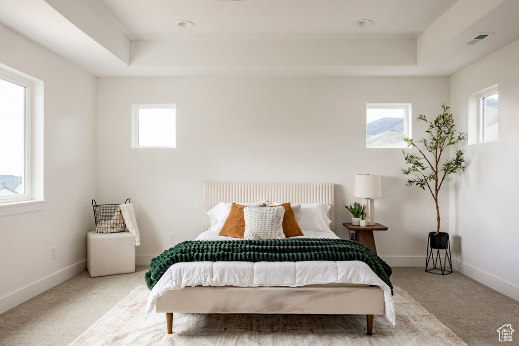 Bedroom featuring a tray ceiling and carpet