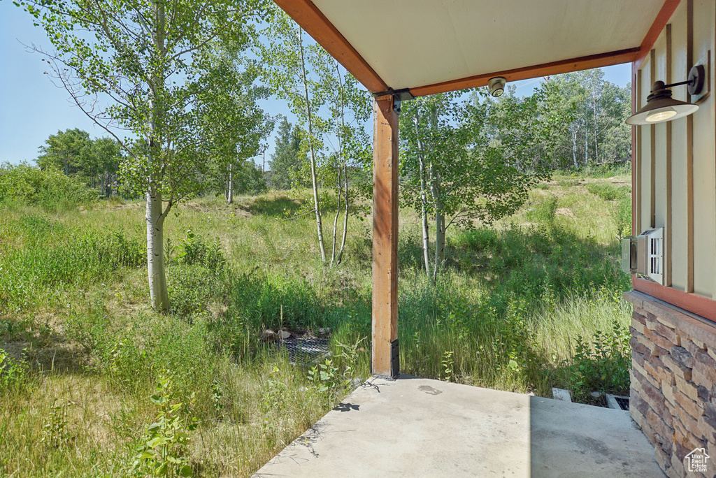 View of yard with a patio area and view of scattered trees