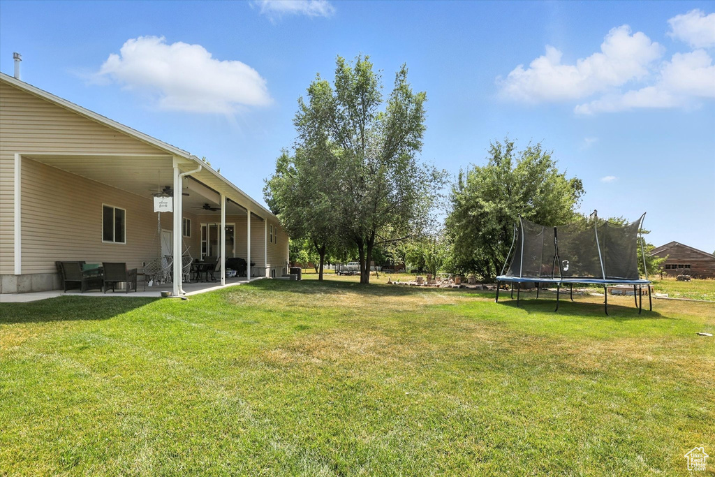 View of grassy yard with a patio, ceiling fan, and a trampoline
