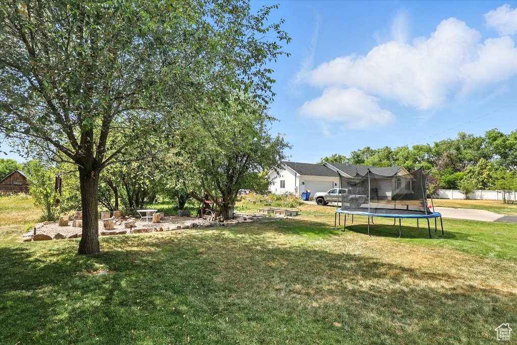 View of green lawn with a trampoline
