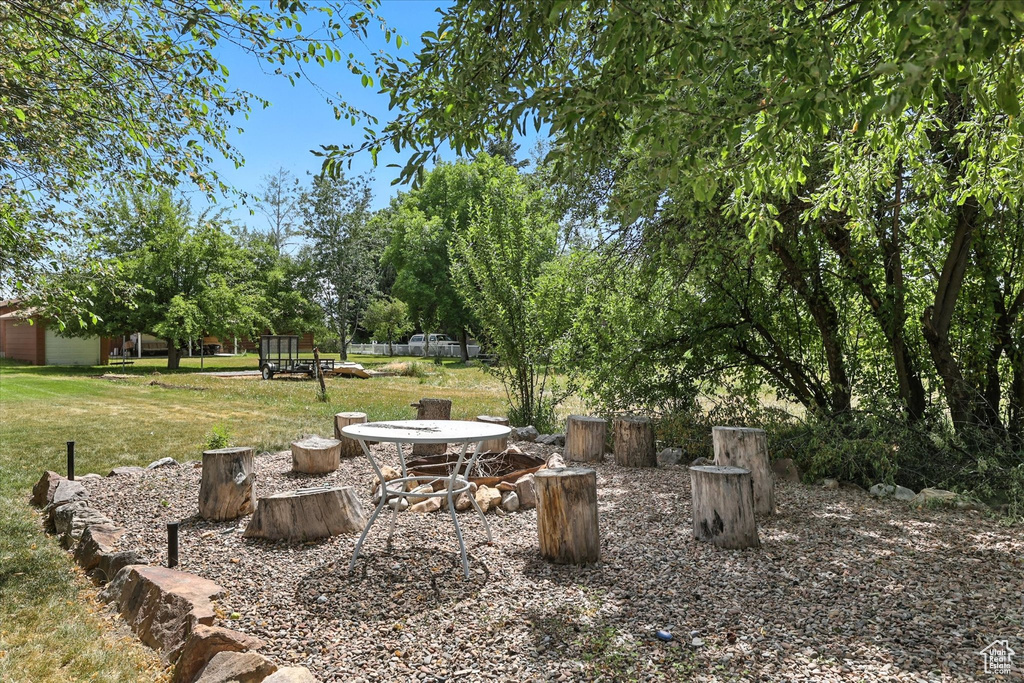 View of green lawn