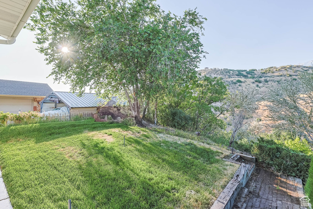 View of grassy yard